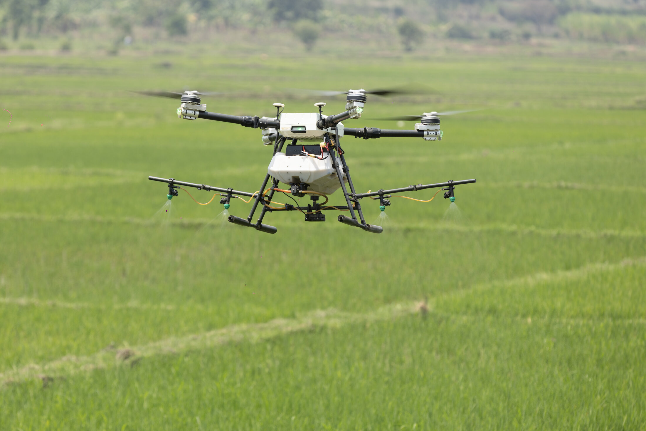 CHARIS pilots observing a spraying drone over Rwandan rice fields during the Drones Against Malaria campaign.